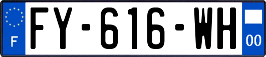 FY-616-WH