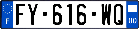 FY-616-WQ