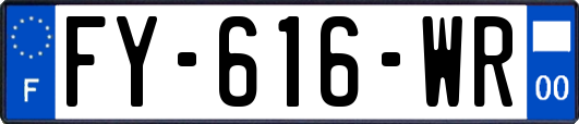 FY-616-WR