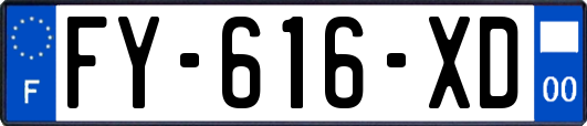FY-616-XD