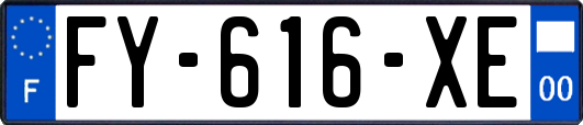 FY-616-XE