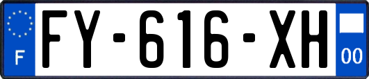FY-616-XH