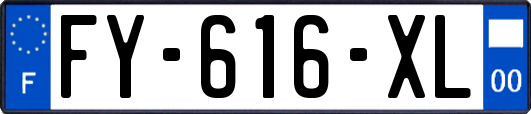 FY-616-XL