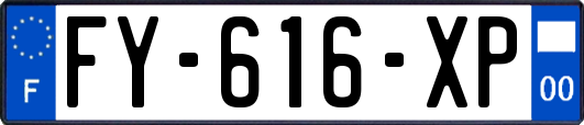 FY-616-XP