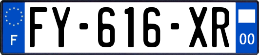 FY-616-XR