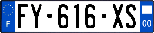 FY-616-XS