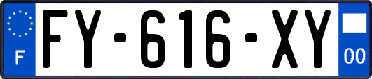 FY-616-XY