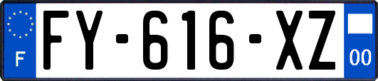 FY-616-XZ