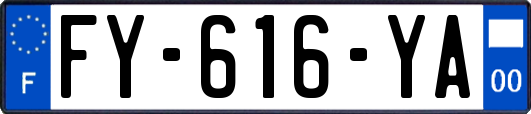 FY-616-YA