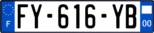 FY-616-YB