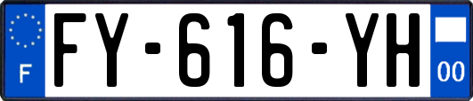 FY-616-YH