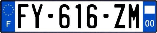FY-616-ZM