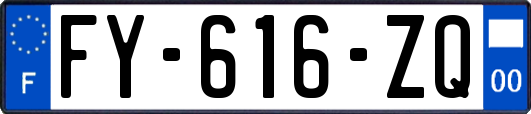 FY-616-ZQ