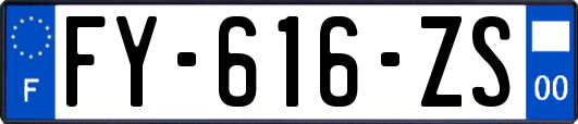 FY-616-ZS