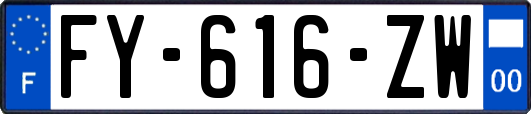 FY-616-ZW