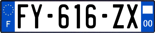FY-616-ZX