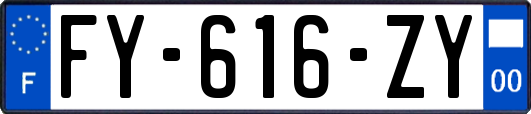 FY-616-ZY
