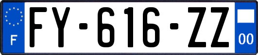FY-616-ZZ