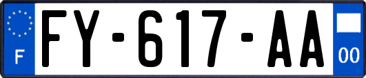FY-617-AA