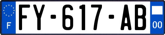 FY-617-AB