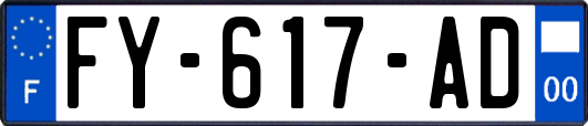 FY-617-AD