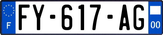 FY-617-AG