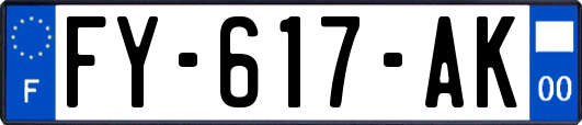 FY-617-AK