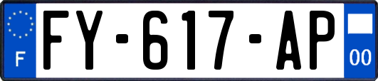 FY-617-AP