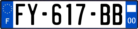 FY-617-BB