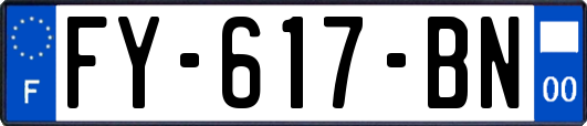 FY-617-BN