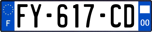 FY-617-CD