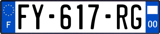 FY-617-RG