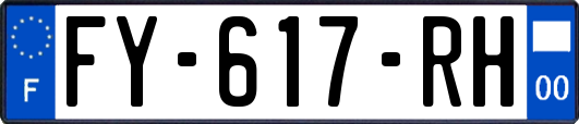 FY-617-RH