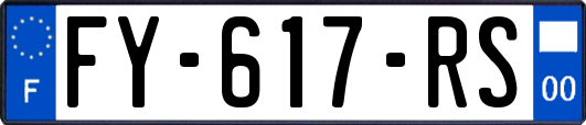 FY-617-RS