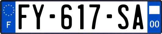 FY-617-SA