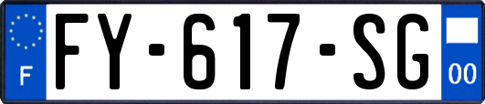 FY-617-SG