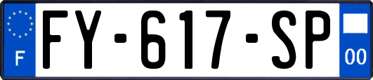 FY-617-SP