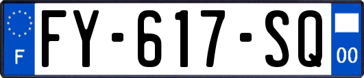 FY-617-SQ