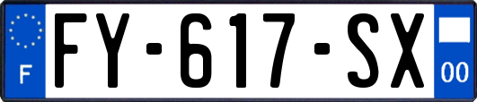 FY-617-SX