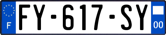FY-617-SY