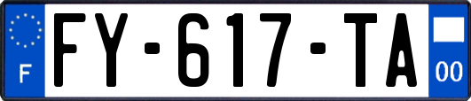 FY-617-TA
