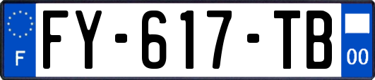 FY-617-TB