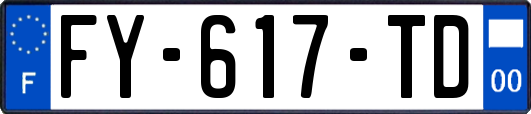FY-617-TD