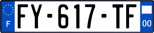 FY-617-TF