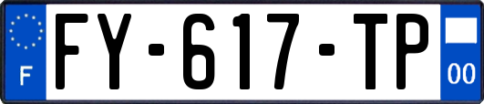 FY-617-TP