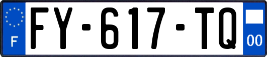 FY-617-TQ
