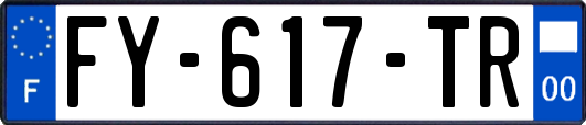 FY-617-TR