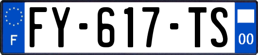 FY-617-TS