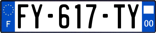 FY-617-TY