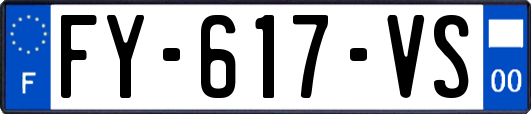 FY-617-VS